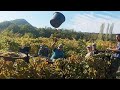 Работа на виноградниках в Крыму (Crimea, picking graips GO PRO 6) Сбор винограда, Массандра 2020