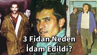 3 Fidan Neden İdam Edildi? Deniz Gezmiş,Hüseyin İnan,Yusuf Aslan İdamı Resimi
