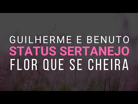 flor-que-se-cheira---status-sertanejo-whatsapp-|-guilherme-e-benuto