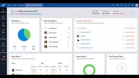 Zoho Projects : Sections in Task Layout