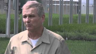 Nursery Owner Careerwise Education