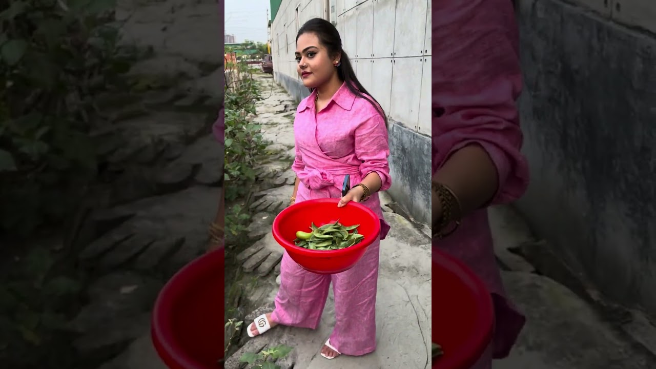 Part-4 Fresh Vegetable Picking 