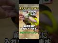 東京マラソン2025 まで95日 今日の練習 目指せサブ4 Road to Tokyo marathon 2025