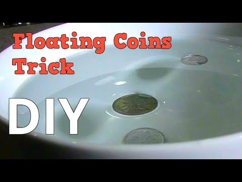 Floating Coins Experiment