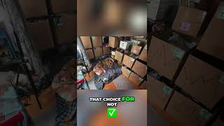 My Dog's Health: A Heartbreaking Day-by-Day Reality #shorts