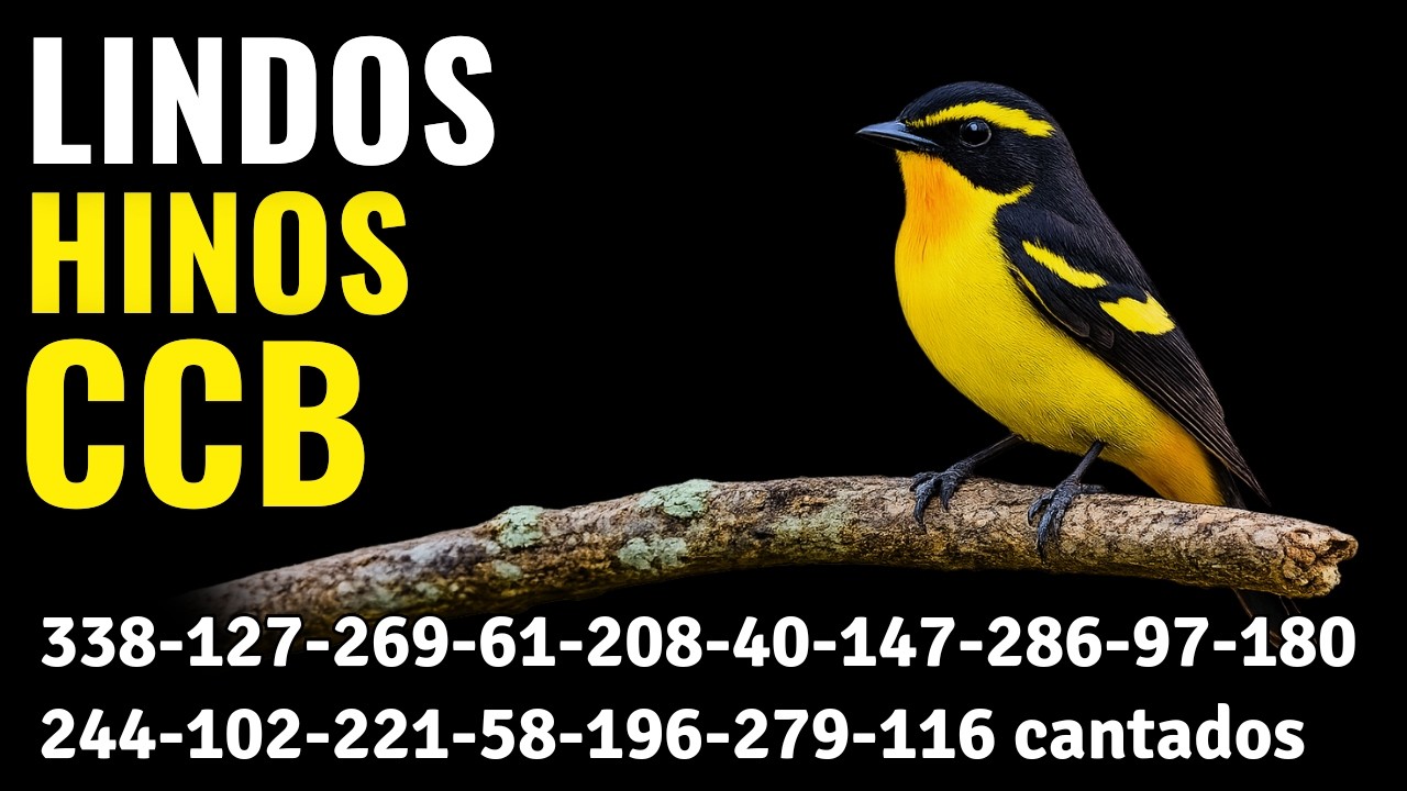 HINOS CCB 338-127-269-61-208-40-147-286-97-180-244-102-221-58-196-279-116-233-74 cantados