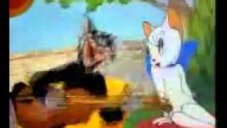 M.arif Cizrawi. Zozaniye Resimi