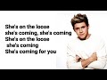 Niall Horan - On The Loose (Lyrics)