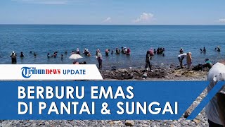 Tak Hanya di Pantai, Warga Tamilouw Maluku Tengah Juga Mendulang Material Emas di Sungai Setempat