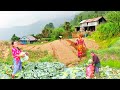 Simple And Very Beautiful Natural Life In Mountain Nepal || Daily Rural Village Activities of Nepal