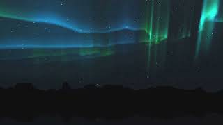 Northern Lights Marijuana Strain