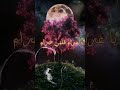 هبة الملك ياليل يابو غيم جارح Music اغاني إحساس غير حالات واتس حب