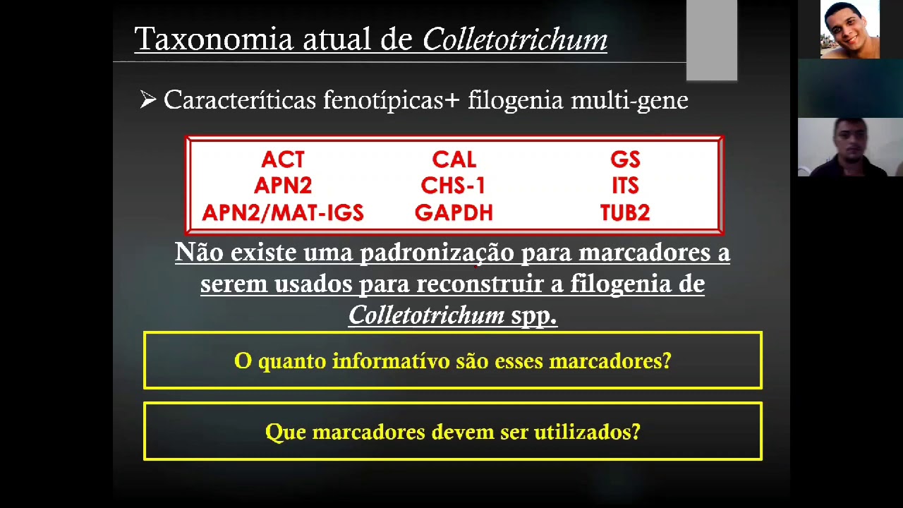 Analisando a qualidade de dados na sistemática do gênero Colletotrichum