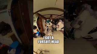 Avoiding The Furmeet Group Photo #furry #furrymemes #fursuit