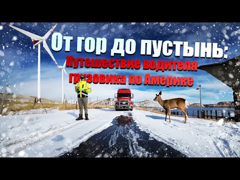 По США вдоль границы с Мексикой / / Дальнобой по США