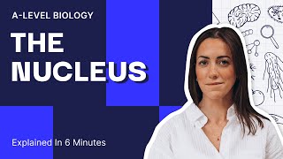 Everything You Need To Know About The Nucleus | AQA A-Level Biology