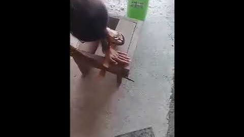 Performance Task 2 in TLE 6