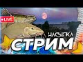 ☀️ НАСЫПКА 🌻 РАЗДАЧА РЫБОВ НА АРХИПЕ И МЕДВЕЖКЕ 🎁 Розыгрыши & Рулетка 🎄 СТРИМ Русская Рыбалка РР4