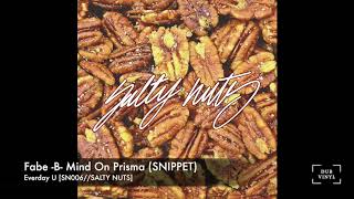 Download Lagu Fabe -B- Mind On Prisma [SN006//SALTY NUTS] Snippet MP3