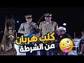 من اروع لوحات مرايا كلب هربان من صاحبو واهل ساحل خايفين من اروع لوحات مرايا كلب هربان من صاحبو واهل ساحل خايفين
