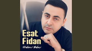 Hakim Baba