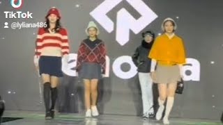 목동로데오패션거리 영상