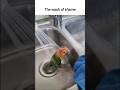 The wash of shame #memes #funny #funnyclips #tiktok #reels #shorts