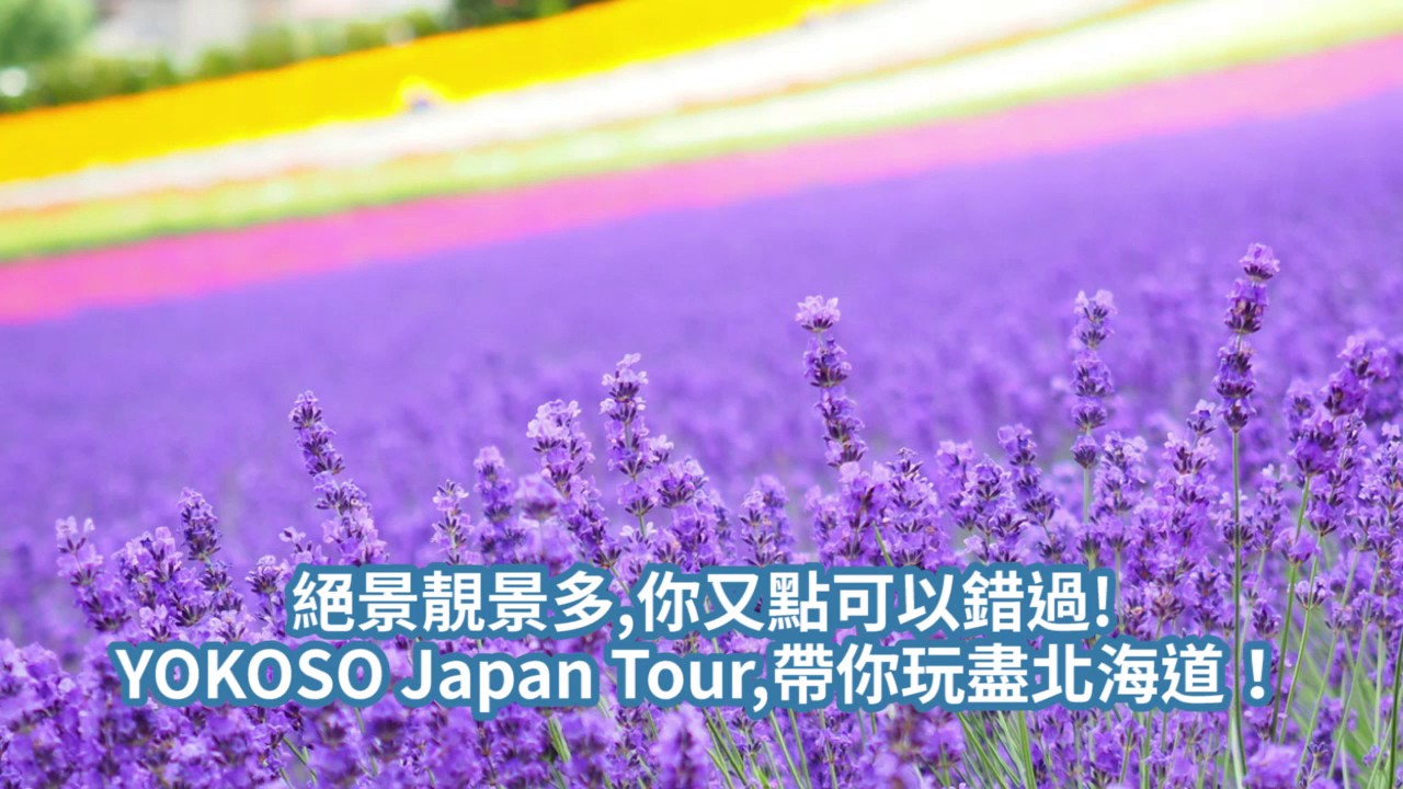 北海道17夏天yokoso Japan Tour Hotel Youtube 北海道17夏天yokoso Japan Tour Hotel Youtube