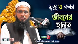 মৃত্যু ও কবর জীবনের হালত || Mufti Habibullah Mahmud Kasemi || New waz 2020