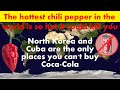Fun Facts