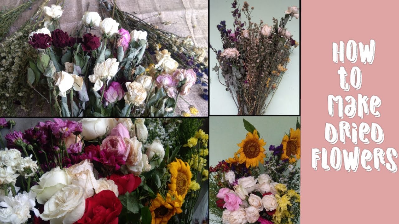DIY Cara  mengeringkan bunga Dried  flowers  YouTube