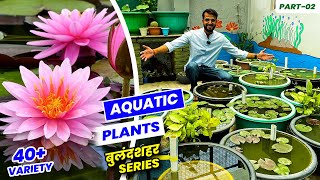 Water Plants की बगिया    इतनी वैरायटी नहीं देखि होंगी