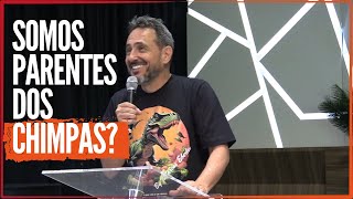 Somos Parentes dos Chimpanzés? A Verdade Surpreendente Revelada!