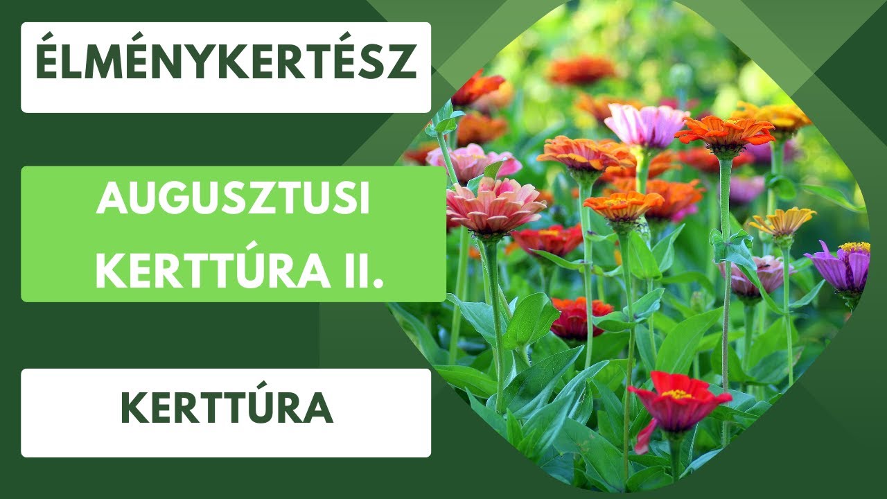 Gyertek és nézzük meg, hogyan néz ki a kert augusztusban!😊