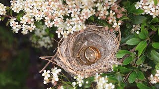 Evlenmeden Önce Kadın Doğum Uzmanına Gidilmeli Mi? Çocuk Sahibi Olma Şansımı Öğrenebilir Miyim?