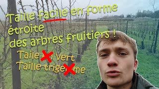 Comment Tailler Les Arbres Fruitiers En Forme Palissée ? (En 3 étapes...)