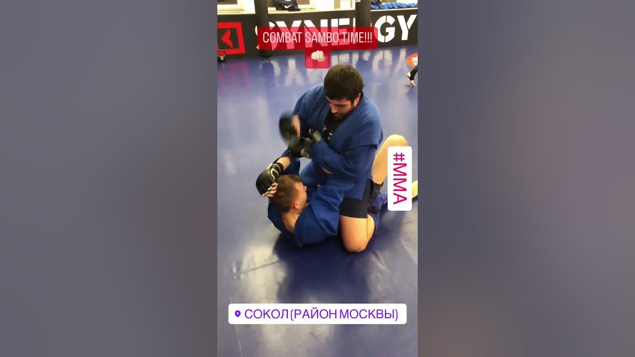 Тренировка самбистов режим
