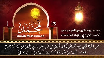 سورة محمد ( مكتوبة ومرتلة برواية قالون ) القارئ: أحمد المجيدي