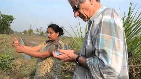 Zero Budget Farming - part 2