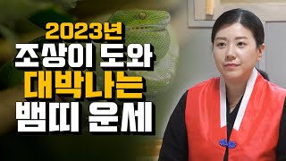 ✨2023년 무조건 대박나는 뱀띠운세✨ 계묘년 하반기 하늘과 조상이 도와 대박나는띠 나이 호명합니다!