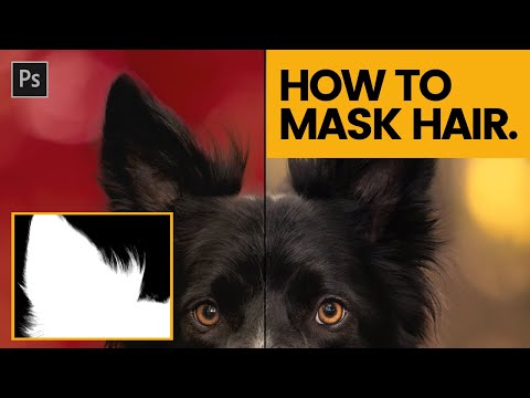 HOW TO MASK HAIR IN PHOTOSHOP - Tutorial for Dog Hair Masking in Photoshop CC 2020
