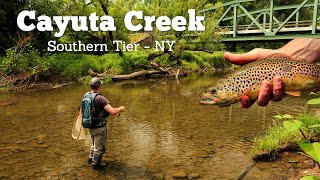 Fish Rising Everywhere! Dry Fly Fishing - Cayuta Creek, NY by Dead Drift Outdoors 7,170 views 10 months ago 21 minutes