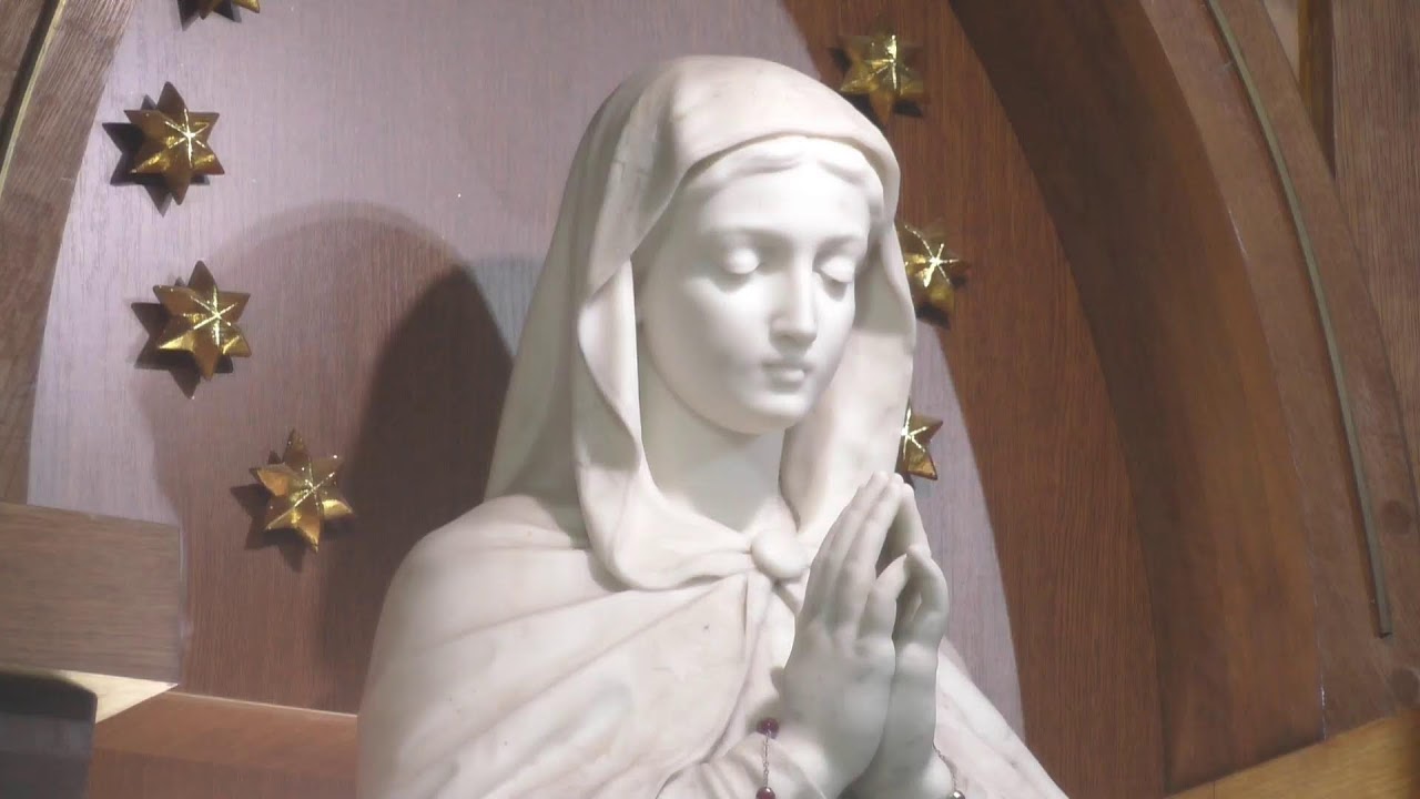 Харківсько-Запорізька дієцезія РКЦ – transmisja na żywo