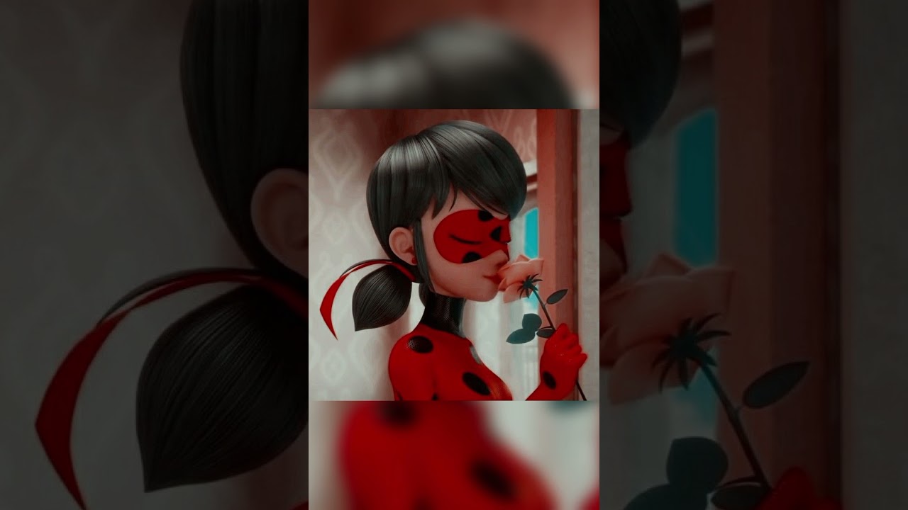 Ladybug and Adrien ll edit ll