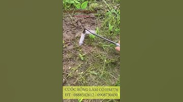 Cuốc rỗng làm cỏ cầm tay đang được bán tại Dungcunongnghiep.vn