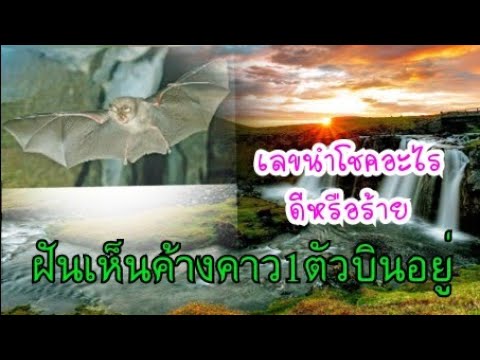 ผลสลากกินแบ่งรัฐบาล วันที่ 1 พย. 2567 ผลสลากกินแบ่งรัฐบาล วันที่ 1 พย. 2567