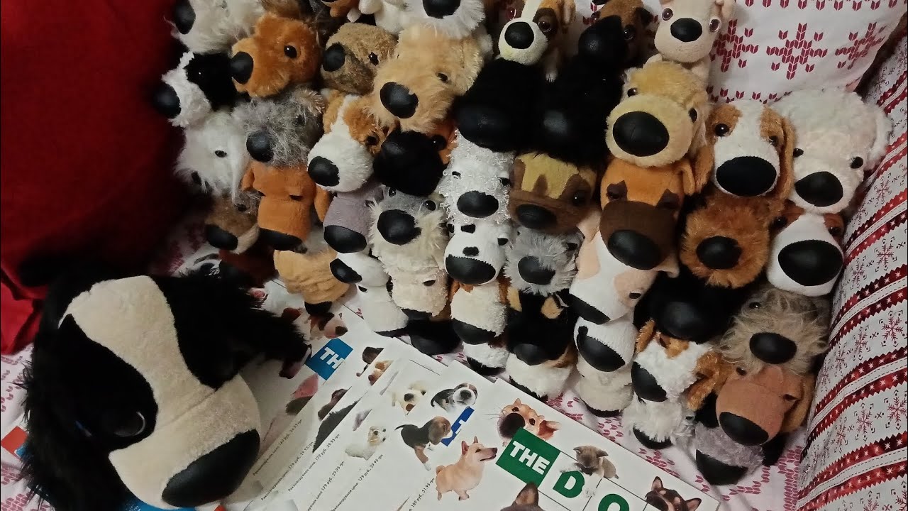 Моя коллекция|the dog collection