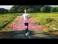 DO-SI-DO/SQUARE DANCE/BASIC DANCE STEP