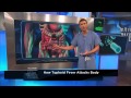 How Typhoid Fever Affects the Body -- The Doctors