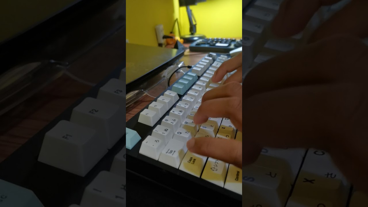 Mechanical Keyboard TKL Custom WKL XD87 with Feker Holy Panda